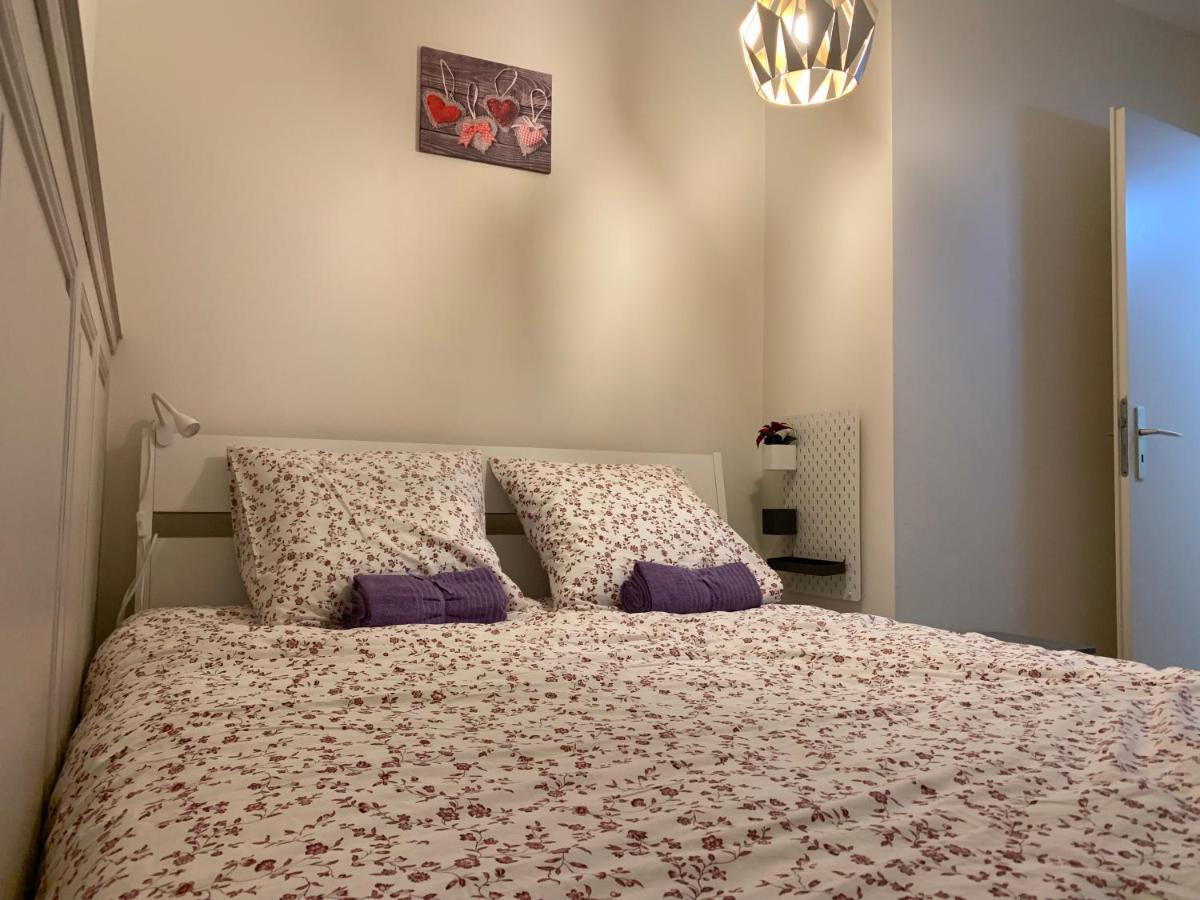 Historical Town Center Spacious Flat Кольмар Экстерьер фото